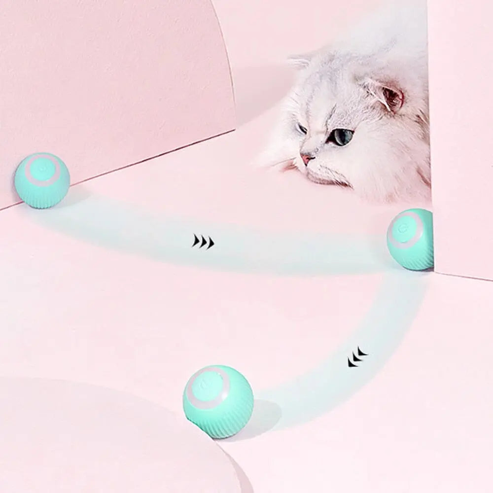 AutoBall™ - Jouet électrique interactifs pour chats - Au plaisir des chats