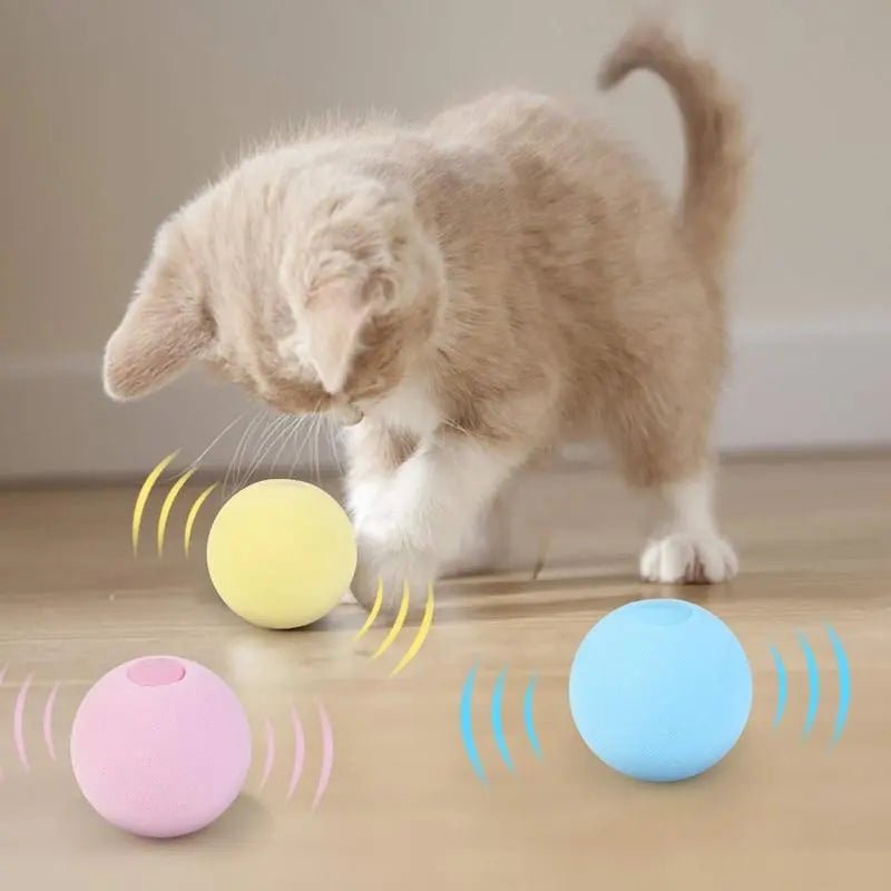 SmartBall™ - Balle intelligente d'apprentissage pour chat - Au plaisir des chats : AutoBall™ - Jouet électrique interactifs pour chats